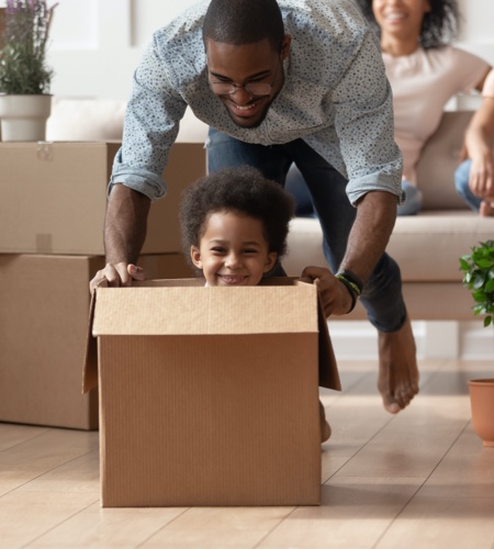 Boxes and bunks and bears, oh my!